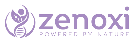 Elementra - Kindergarten